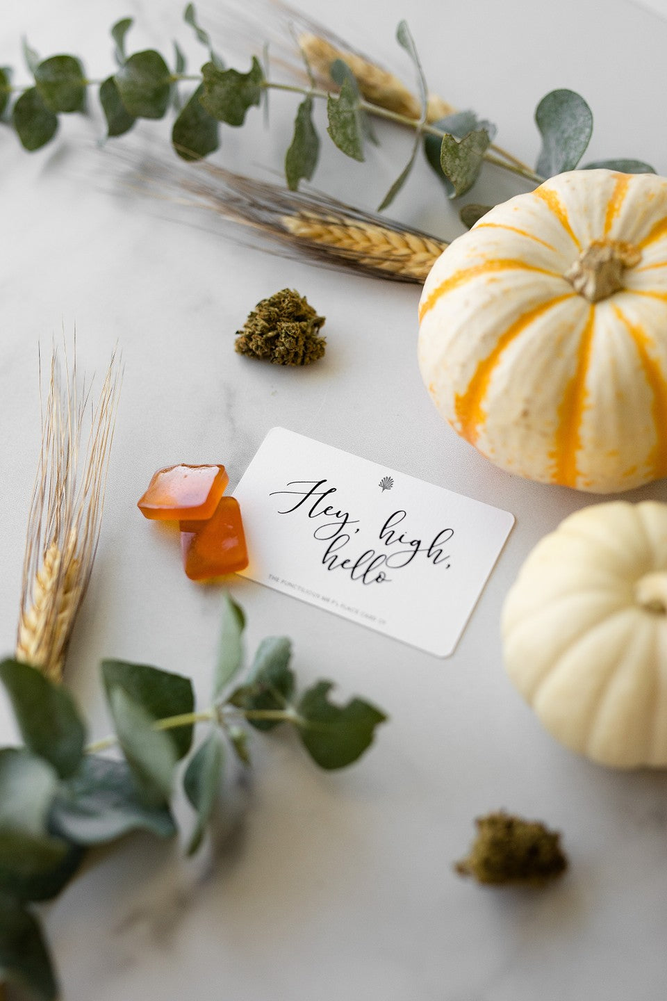 Want to Give CBD Gummies a Try?