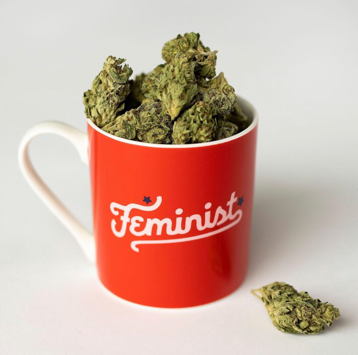 Women's History Month Wrap Up