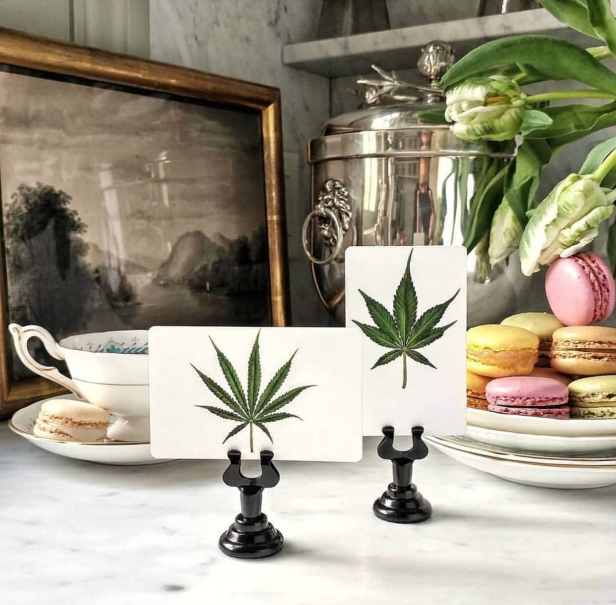 From sexpot to social anxiety