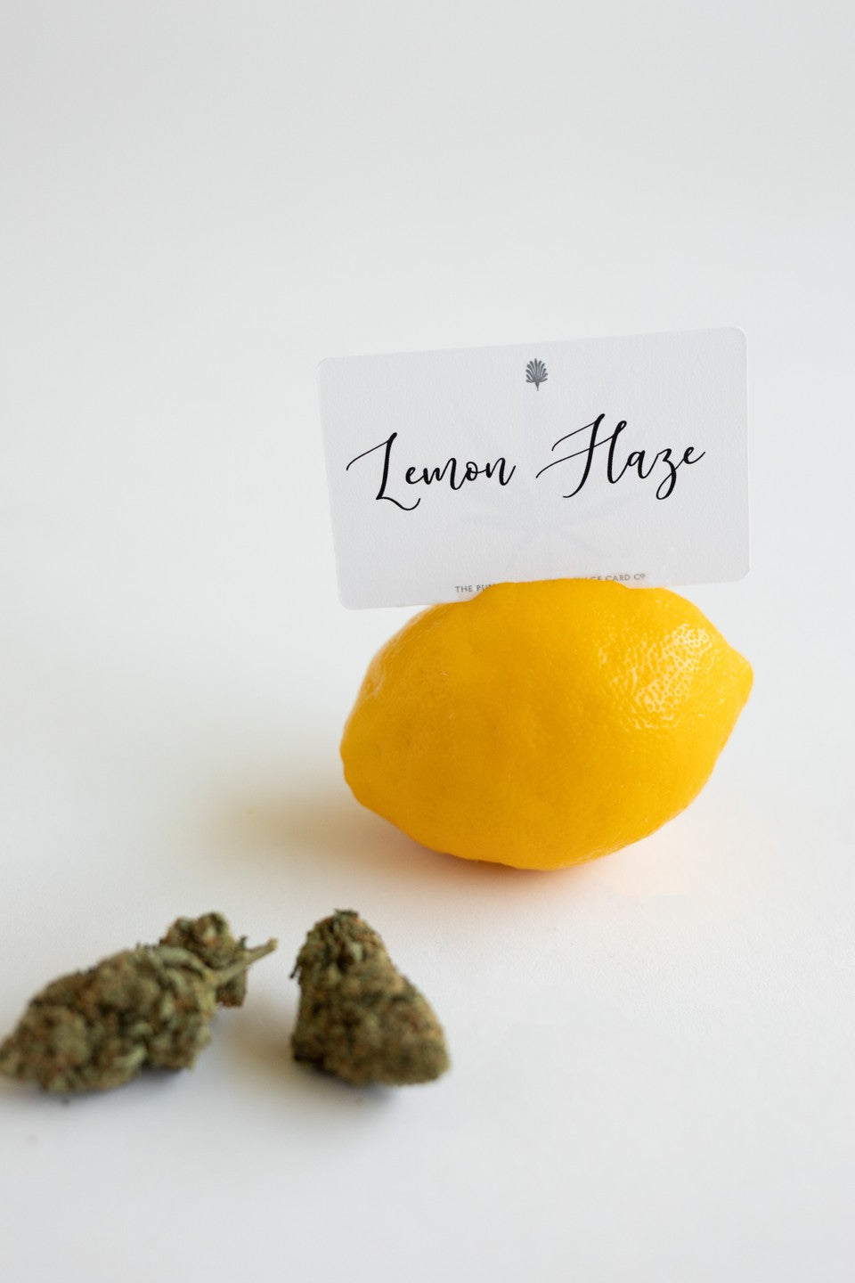 Over 100 Terpenes, Here are a Few of My Favorites....