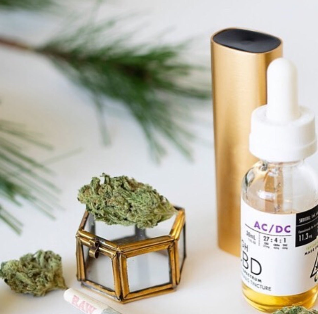 CBD for weight loss. YES, please!